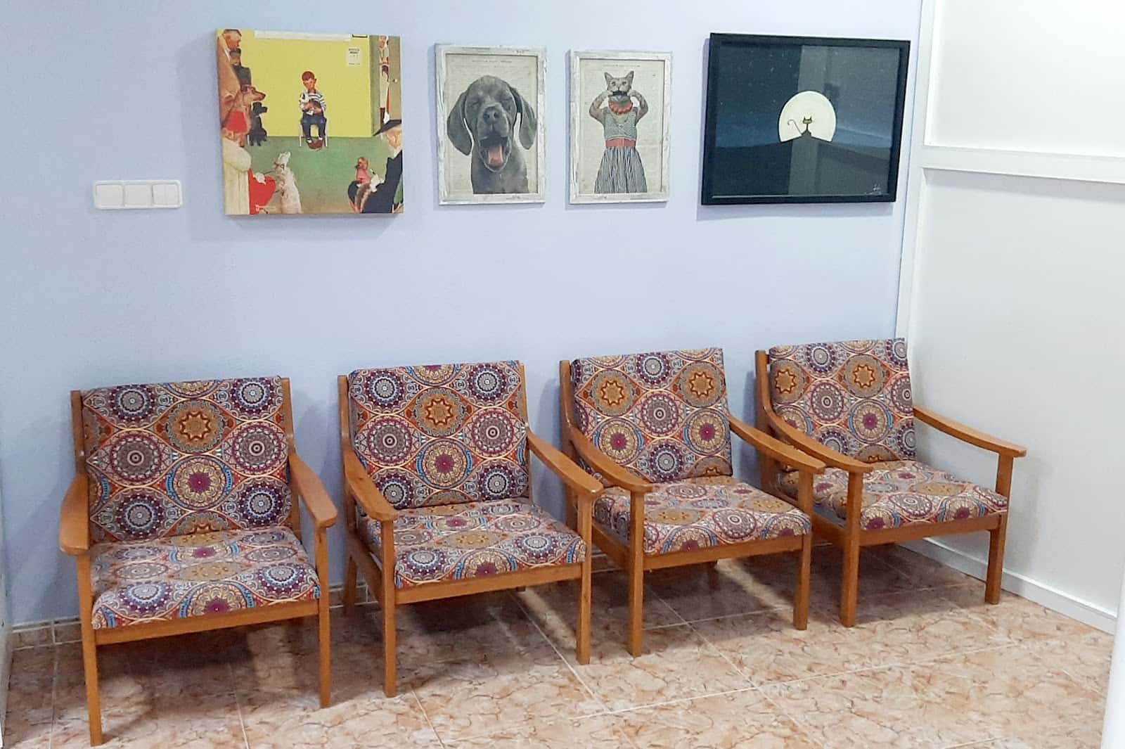 VernissaVet Centro Veterinario