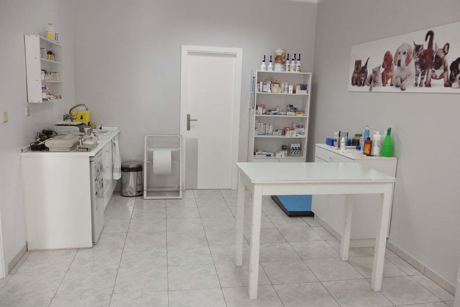 clinica veterinaria el saladar c b  veterinario clinica en denia en alicante principalImage ADOPTA Sitios Pet Friendly