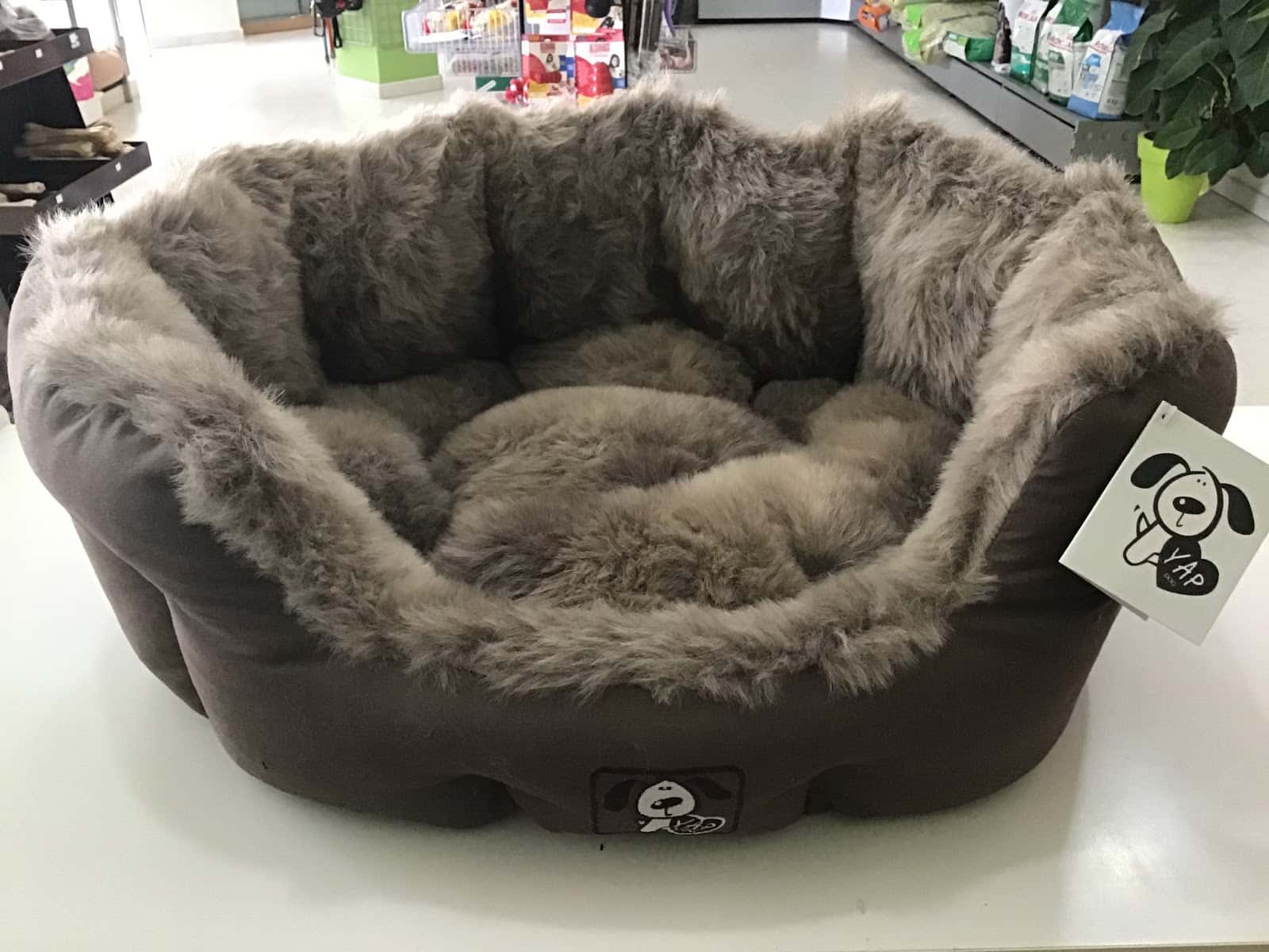 Santi Mas servicios para mascotas