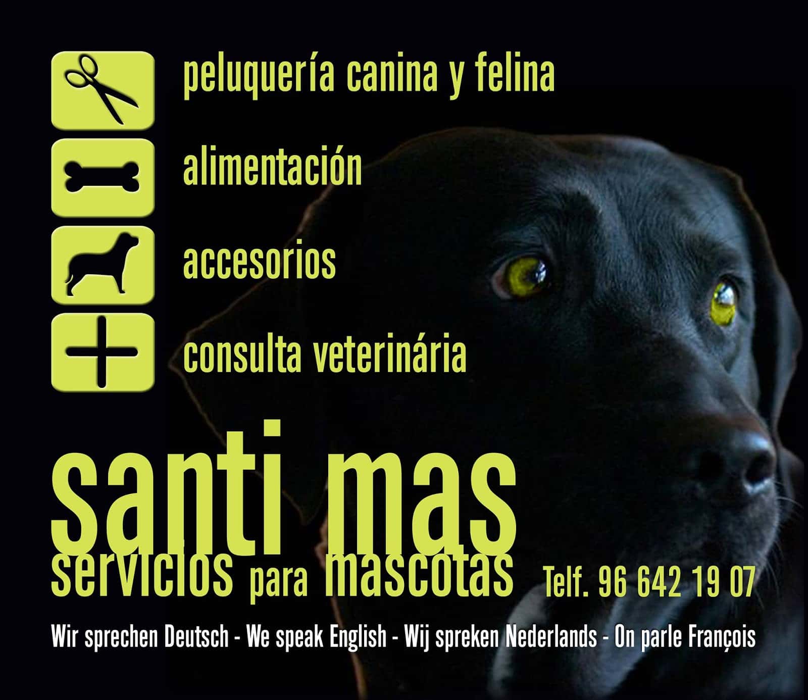 santi mas servicios para mascotas veterinario centro en denia en alicante principalImage ADOPTA Sitios Pet Friendly