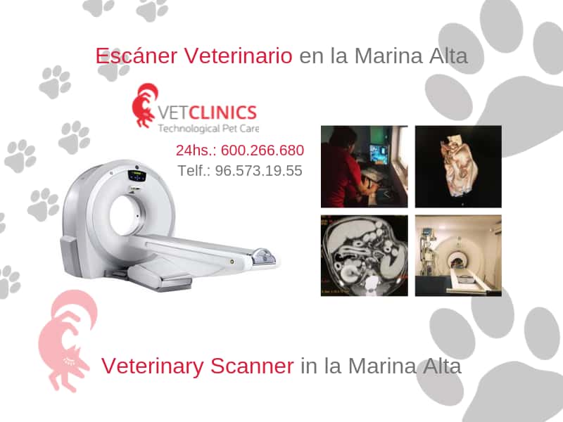 VetClinics Teulada