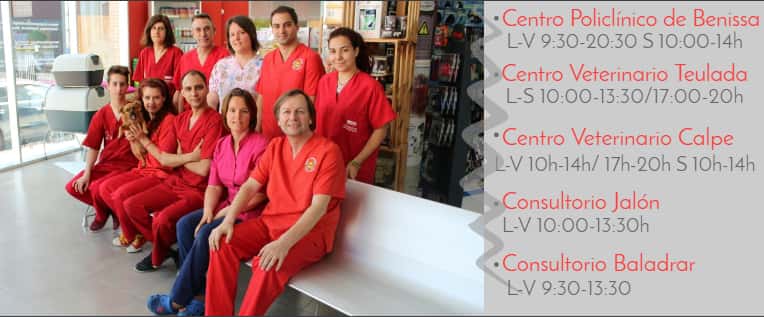 VetClinics Teulada