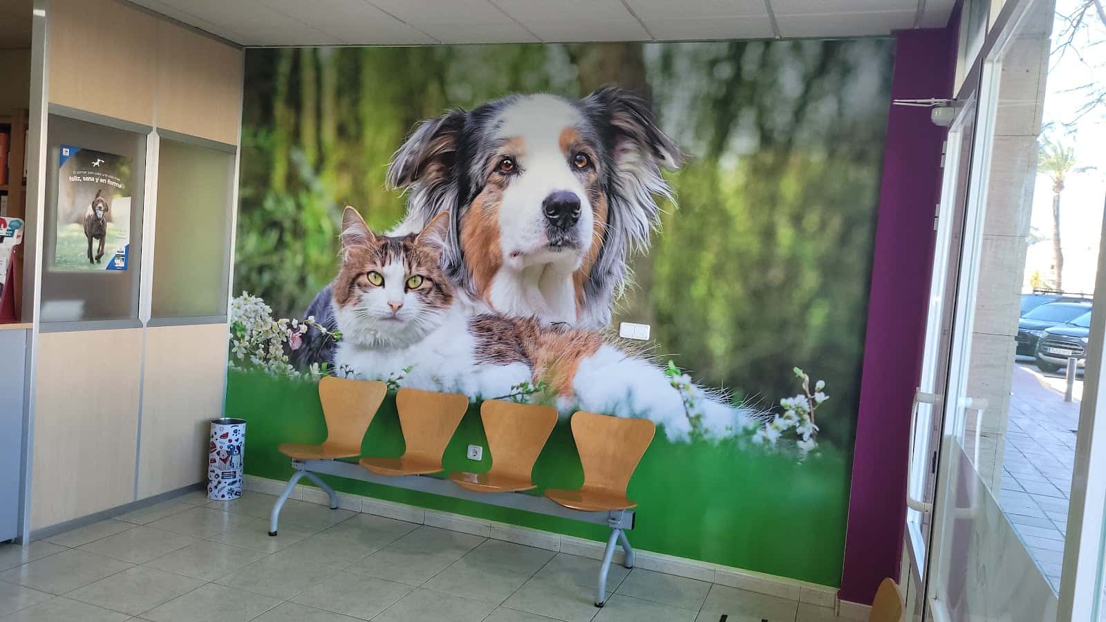 Clínica Veterinaria Arenal