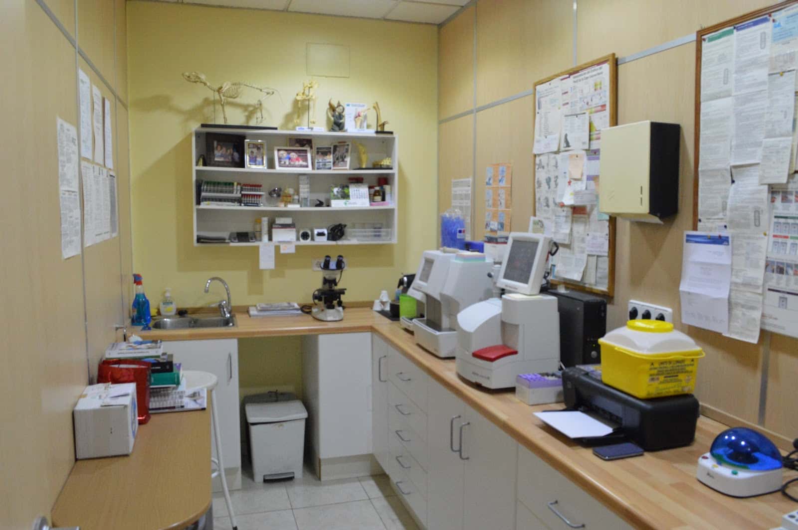 Clínica Veterinaria Arenal
