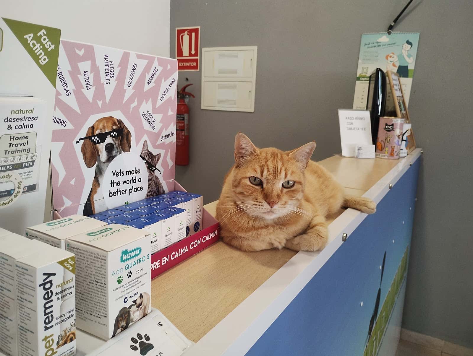 Centro Veterinario