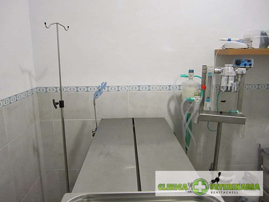 Centro Veterinario