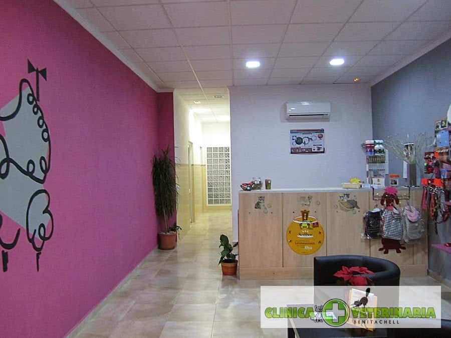 Centro Veterinario