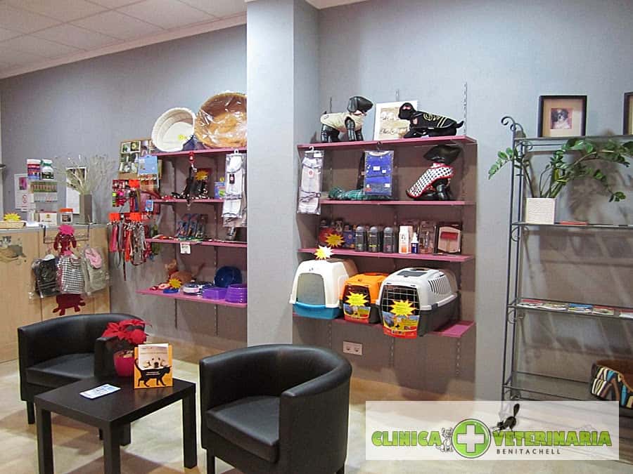 Centro Veterinario