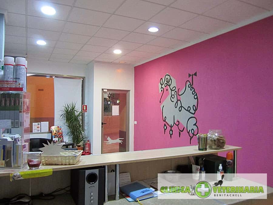 centro veterinario veterinario centro en el poble nou de benitatxell en alicante principalImage ADOPTA Sitios Pet Friendly