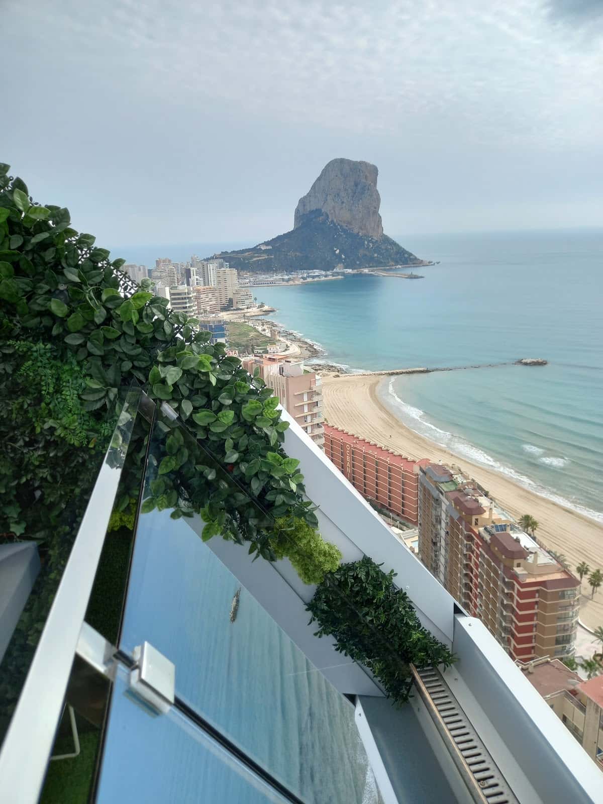 Algar Clínica Veterinaria