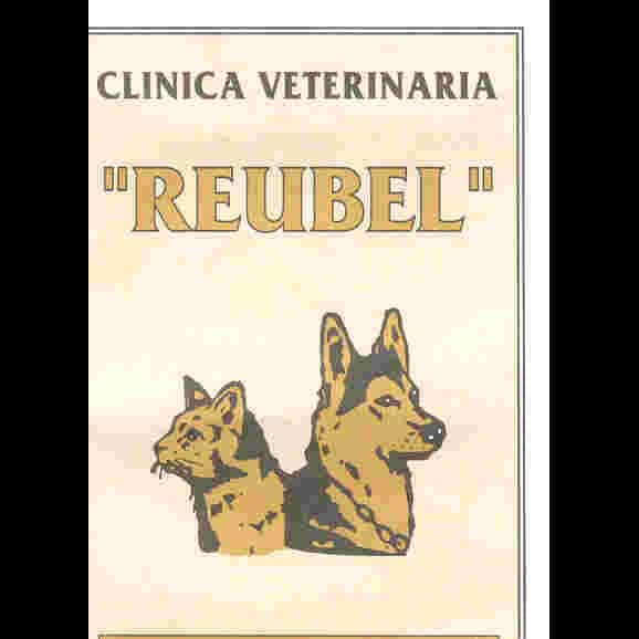Clinica Veterinaria Reubel