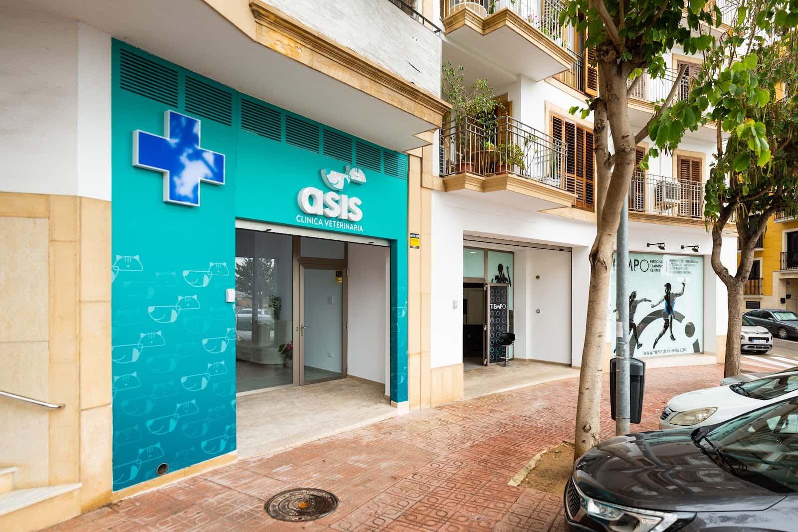 clinica veterinaria asis veterinario clinica en xabia en alicante principalImage ADOPTA Sitios Pet Friendly