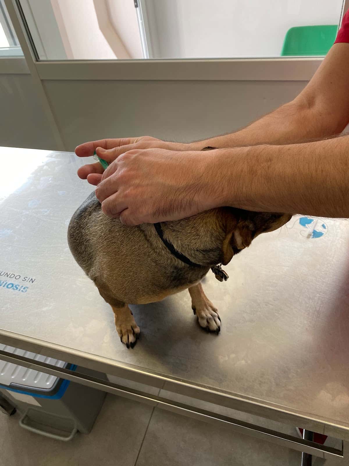 Clínica Veterinaria la Nucia