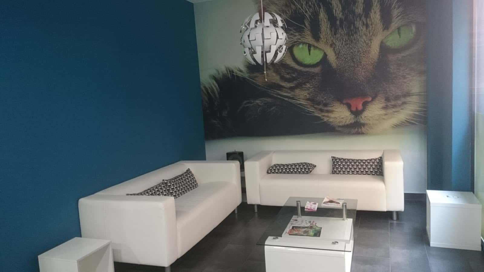 Hospital Veterinario Elche | MiVet