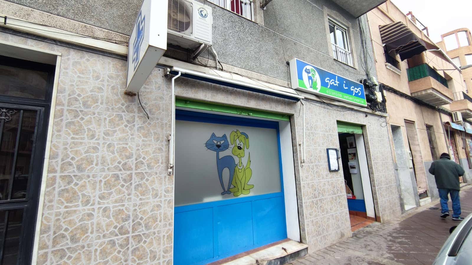 clinica veterinaria gat i gos elche veterinario clinica en elx en alicante principalImage ADOPTA Sitios Pet Friendly