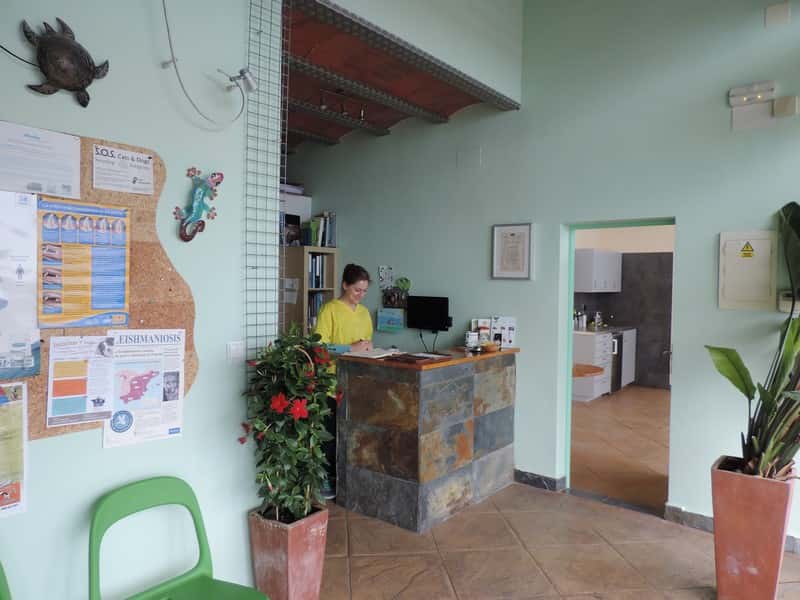 vistavet veterinarios 24h veterinario centro en nou espai i en alicante principalImage ADOPTA Sitios Pet Friendly