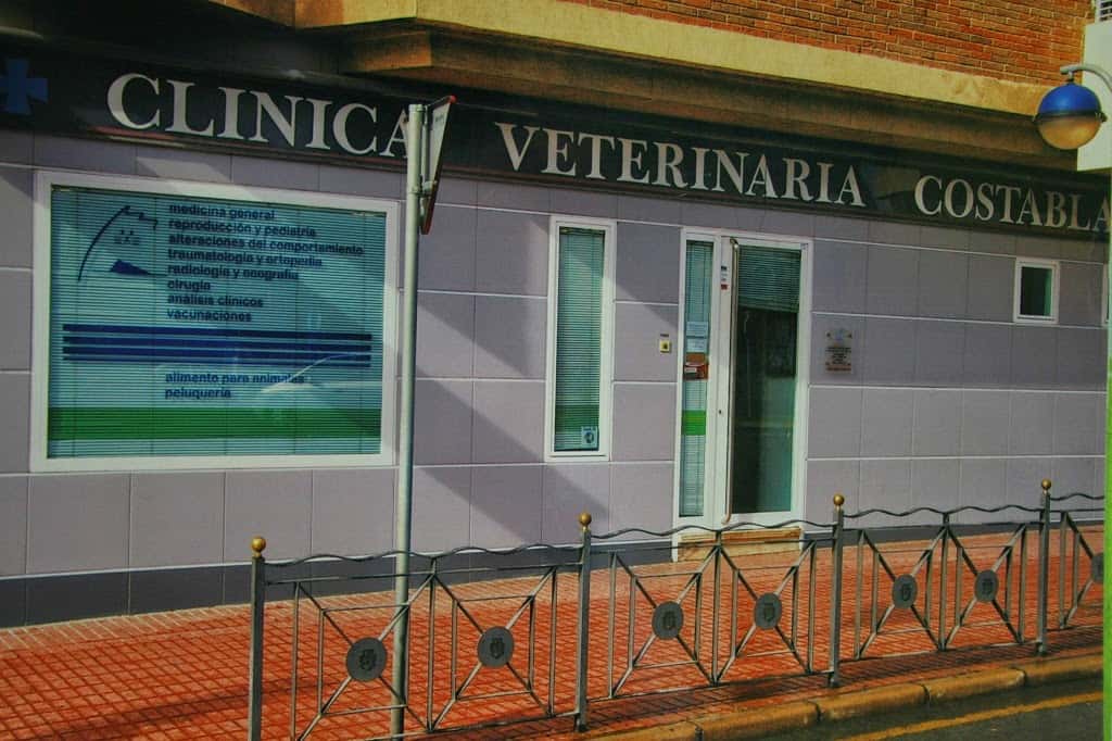 clinica veterinaria costablanca veterinario clinica en benidorm en alicante principalImage ADOPTA Sitios Pet Friendly