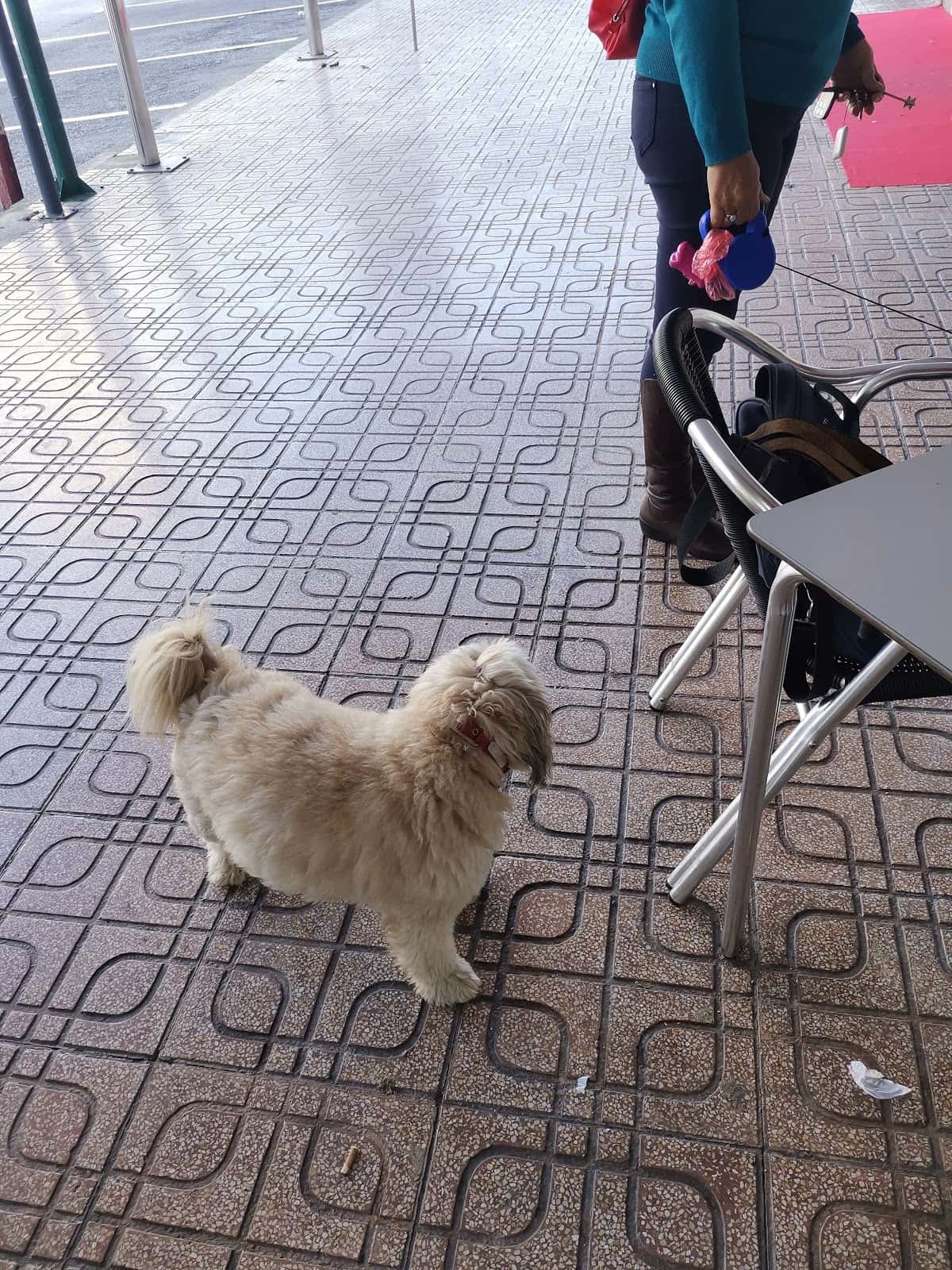 Clinica Veterinaria La Cala