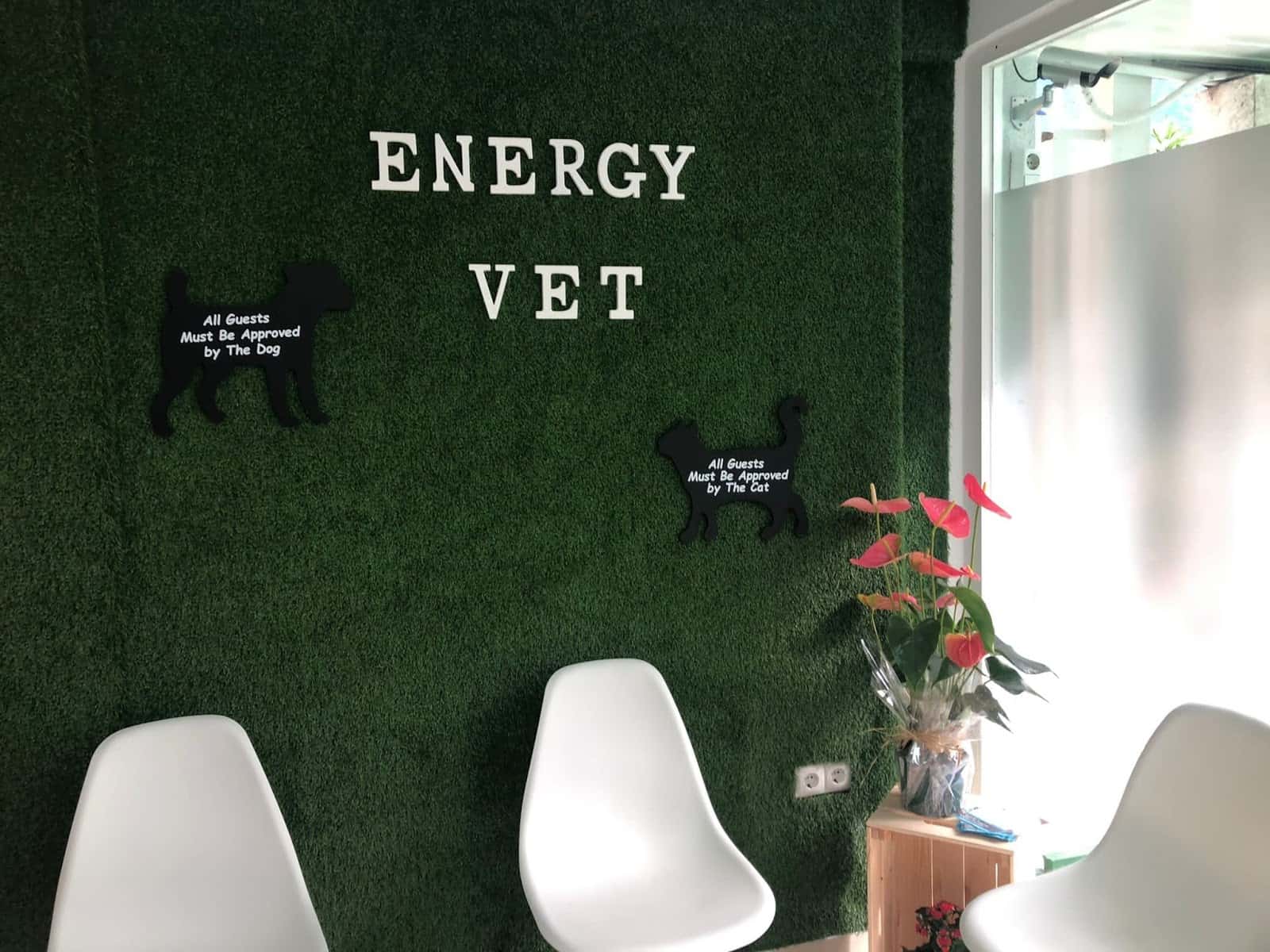 Centro Veterinario Energy Vet