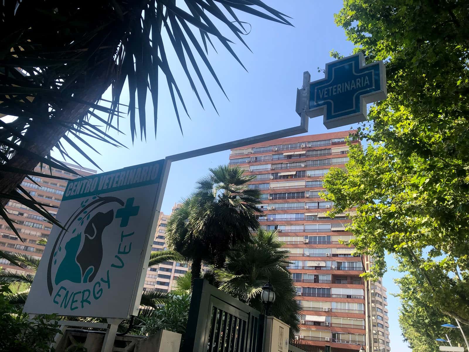 Centro Veterinario Energy Vet