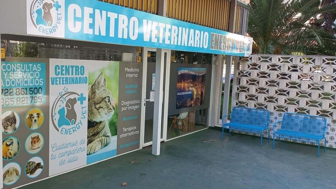 centro veterinario energy vet veterinario centro en benidorm en alicante principalImage ADOPTA Sitios Pet Friendly