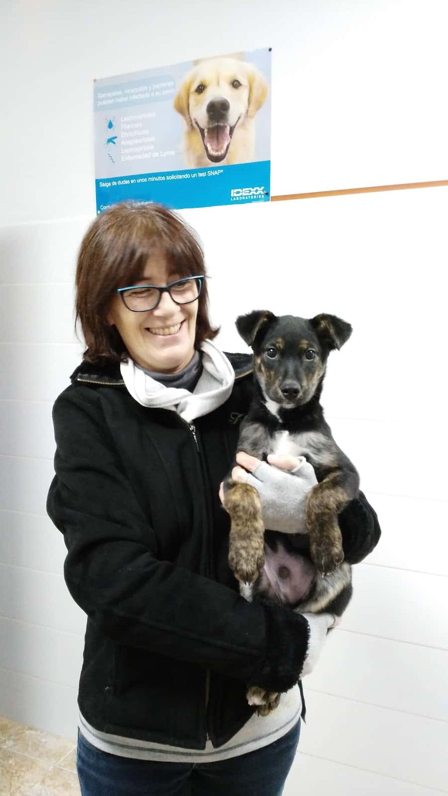 CLINICA VETERINARIA SALUD ANIMAL REQUENA