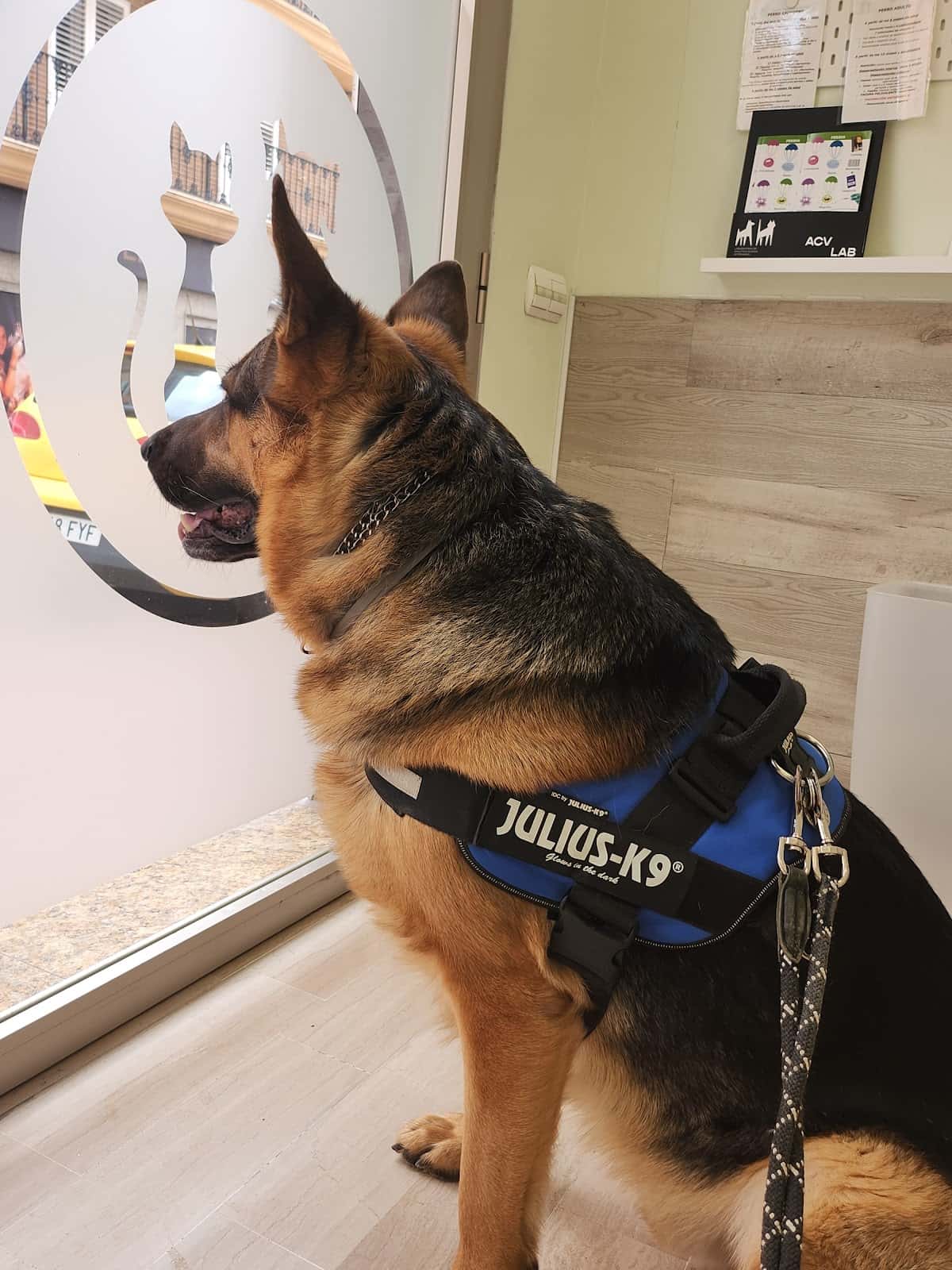 Centro Veterinario Guivet