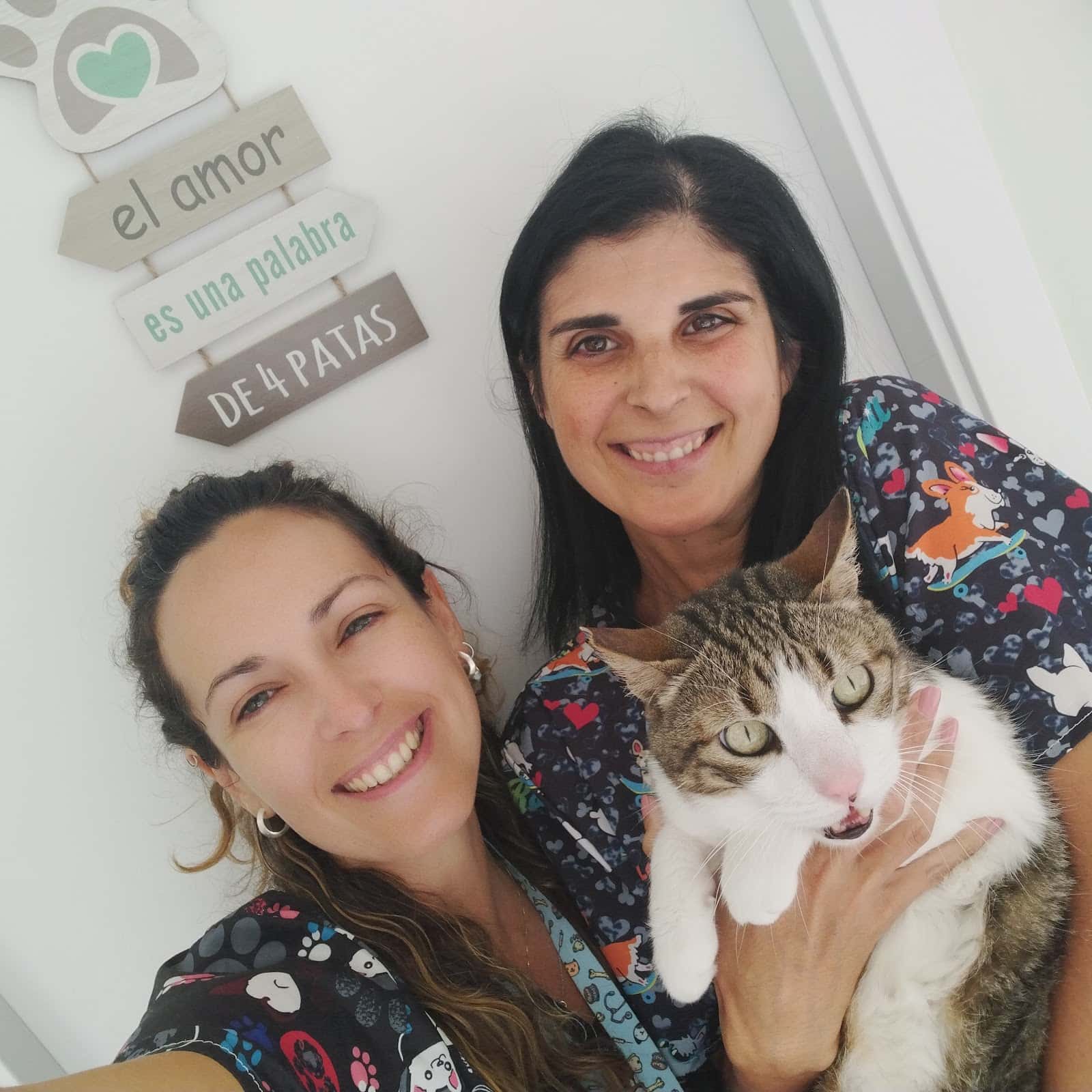 centro veterinario guivet veterinario centro en utiel en valencia principalImage ADOPTA Sitios Pet Friendly