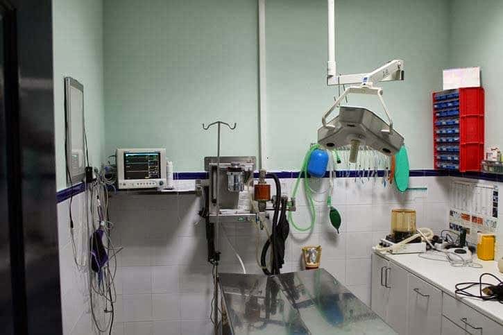 clinica veterinaria jayda veterinario clinica en tomelloso en ciudad real principalImage ADOPTA Sitios Pet Friendly