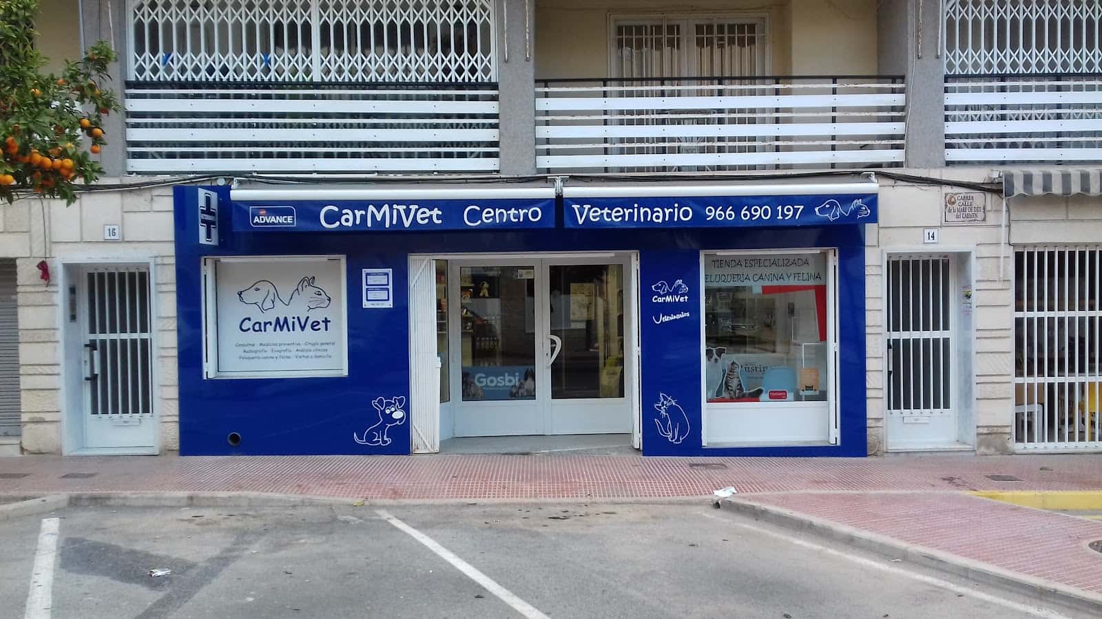 Centro Veterinario CarMiVet