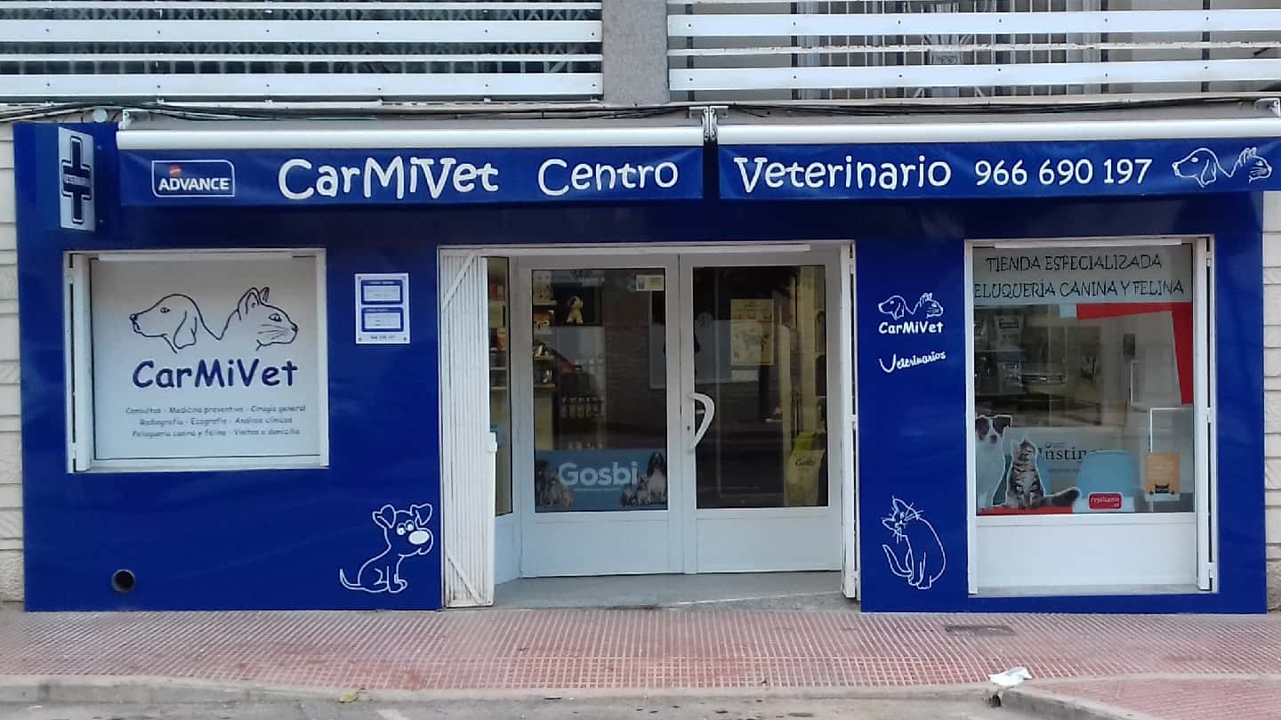centro veterinario carmivet veterinario centro en santa pola en alicante principalImage ADOPTA Sitios Pet Friendly