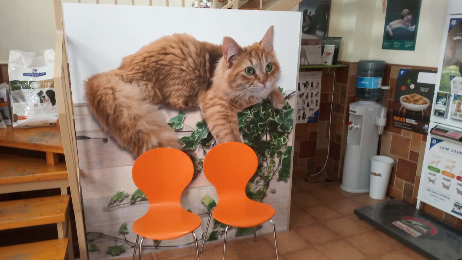 CLÍNICA VETERINARIA SANTA POLA