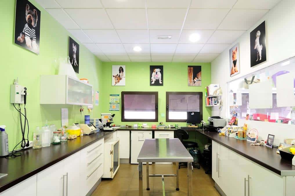 CLINICA VETERINARIA DELIZANA