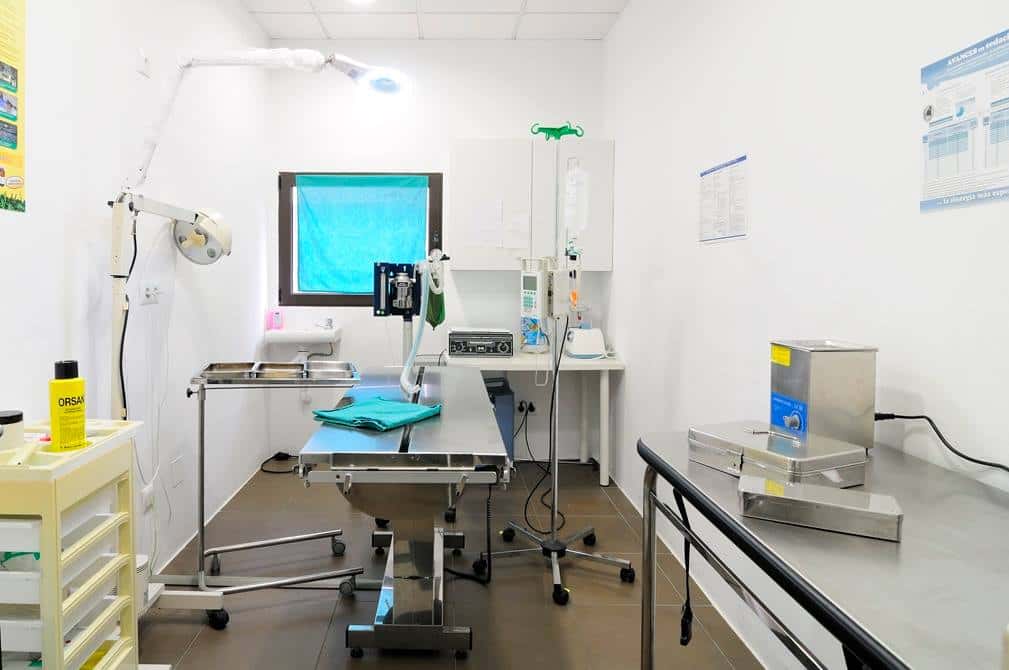 CLINICA VETERINARIA DELIZANA