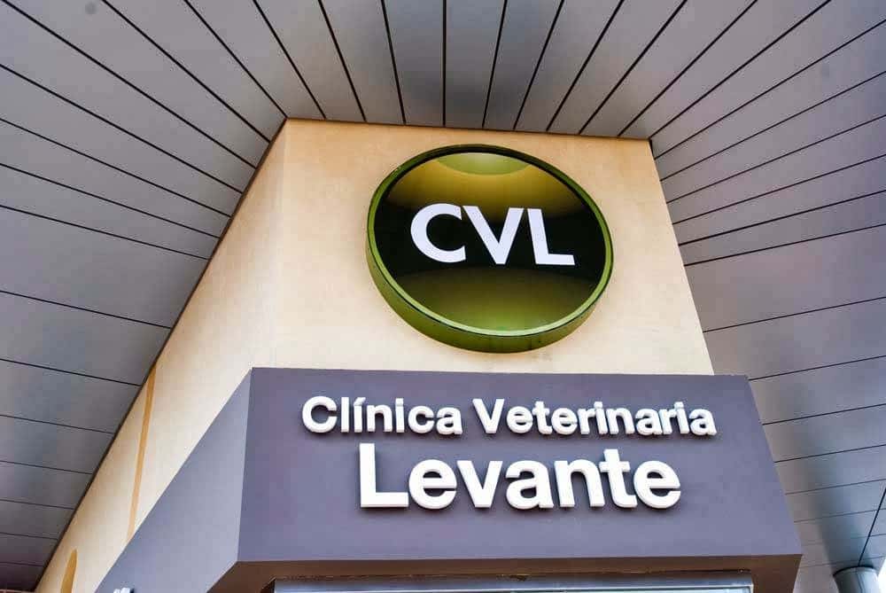 clinica veterinaria levante veterinario clinica en san javier en murcia principalImage ADOPTA Sitios Pet Friendly