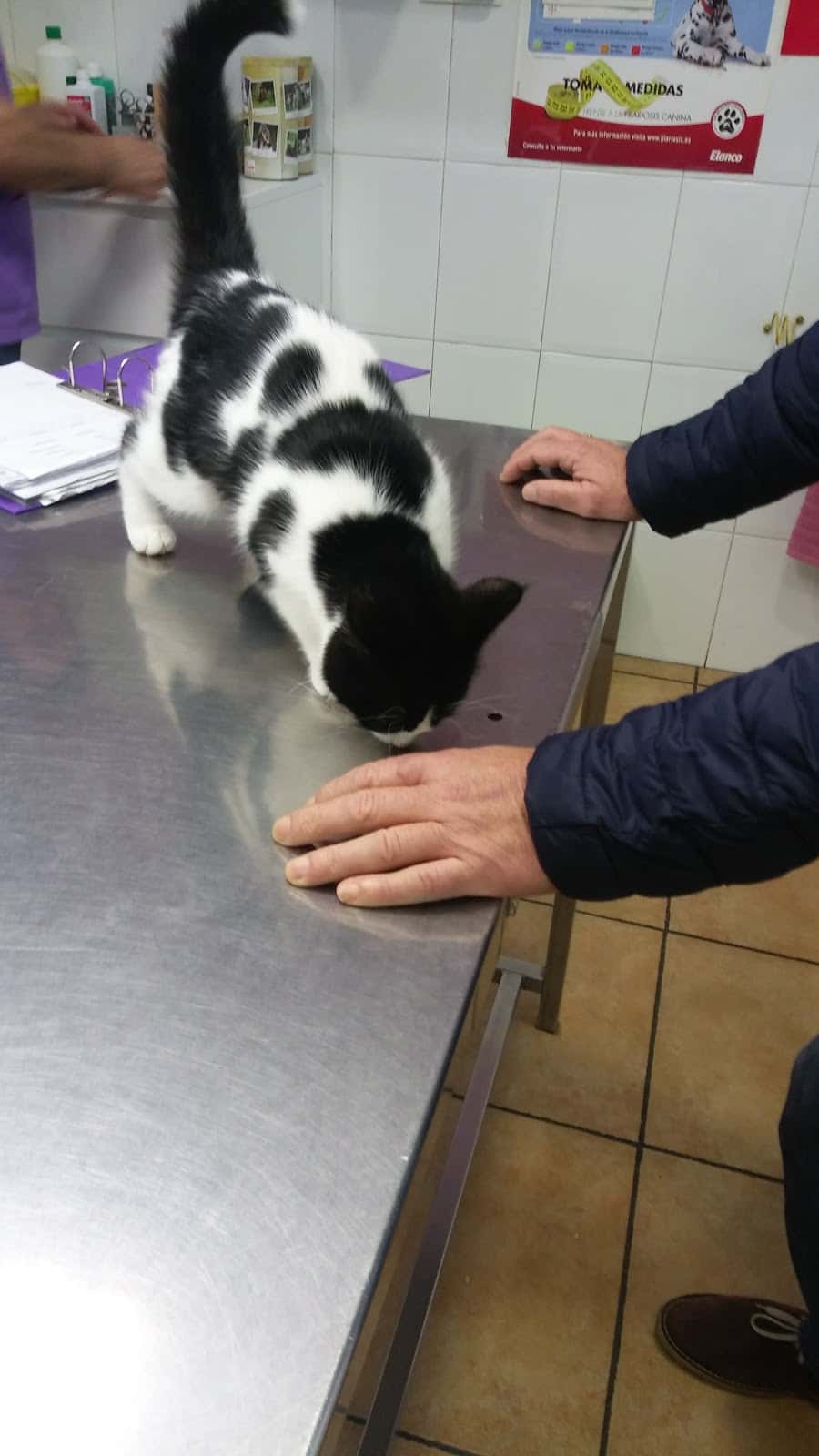 Clínica Veterinaria El Pilar