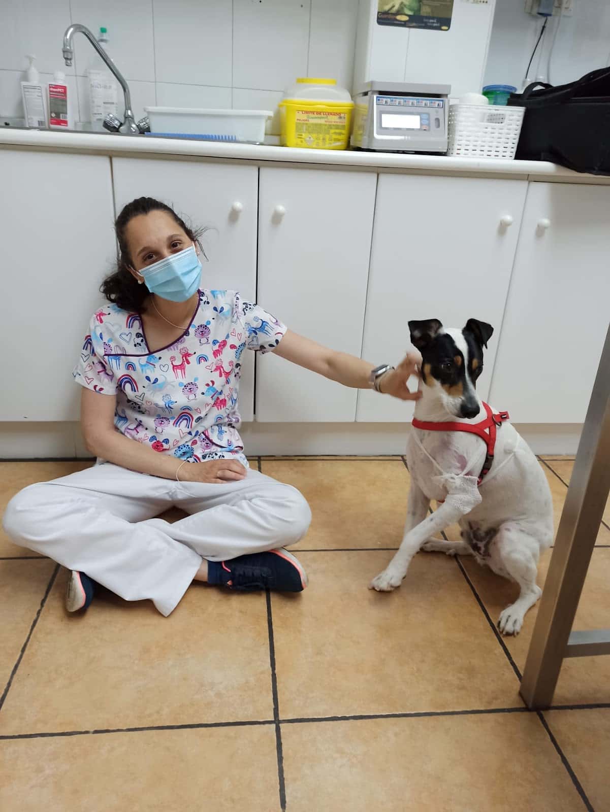 Clínica Veterinaria El Pilar