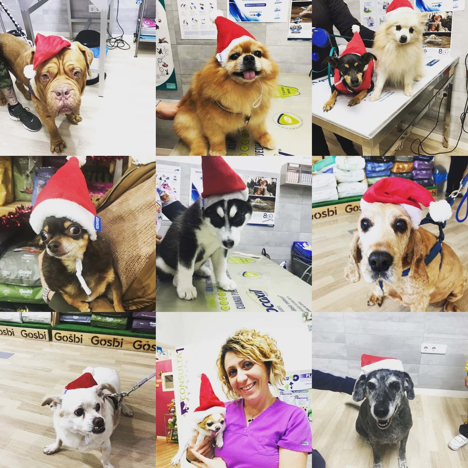 Clínica Veterinaria Fauno