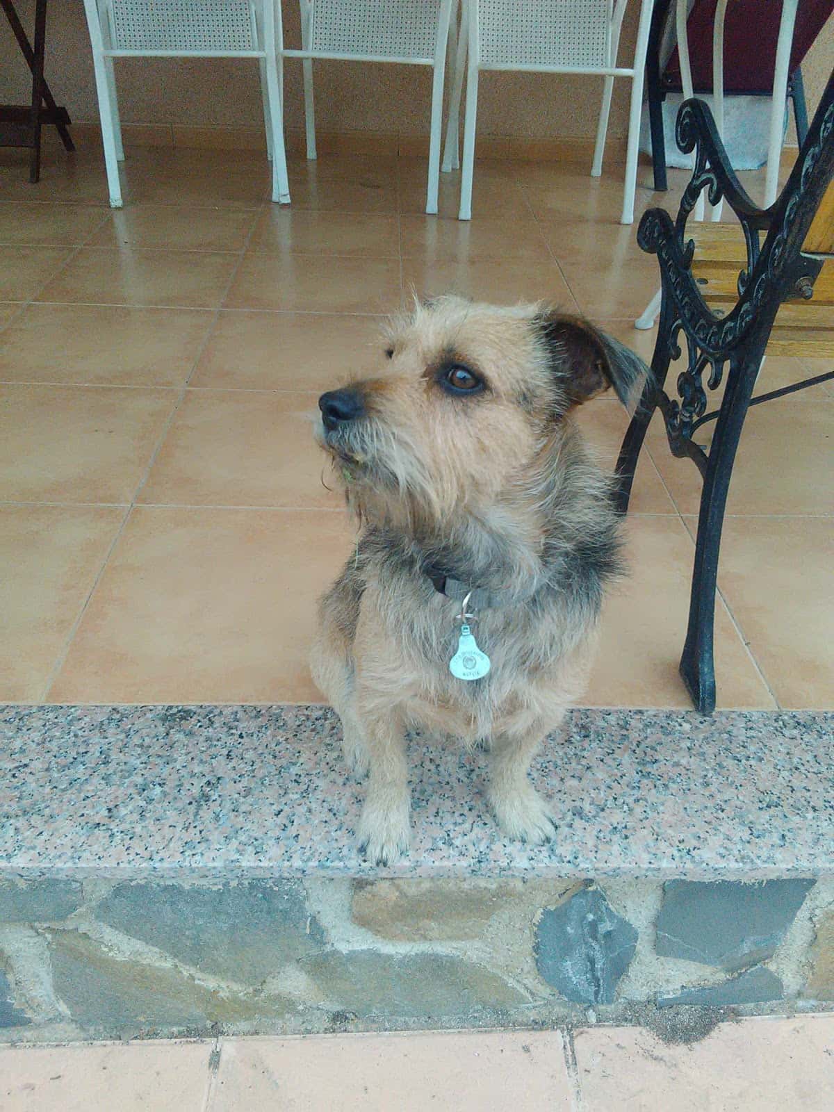 Clínica Veterinaria La Granja