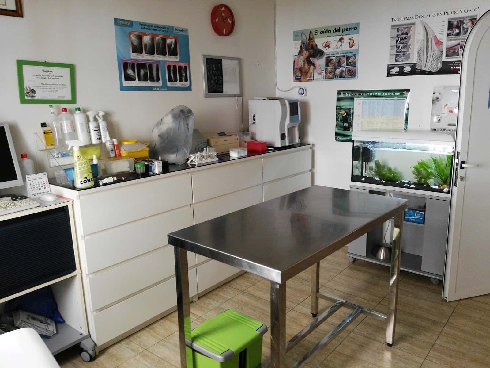 Clinica Veterinaria Castelar