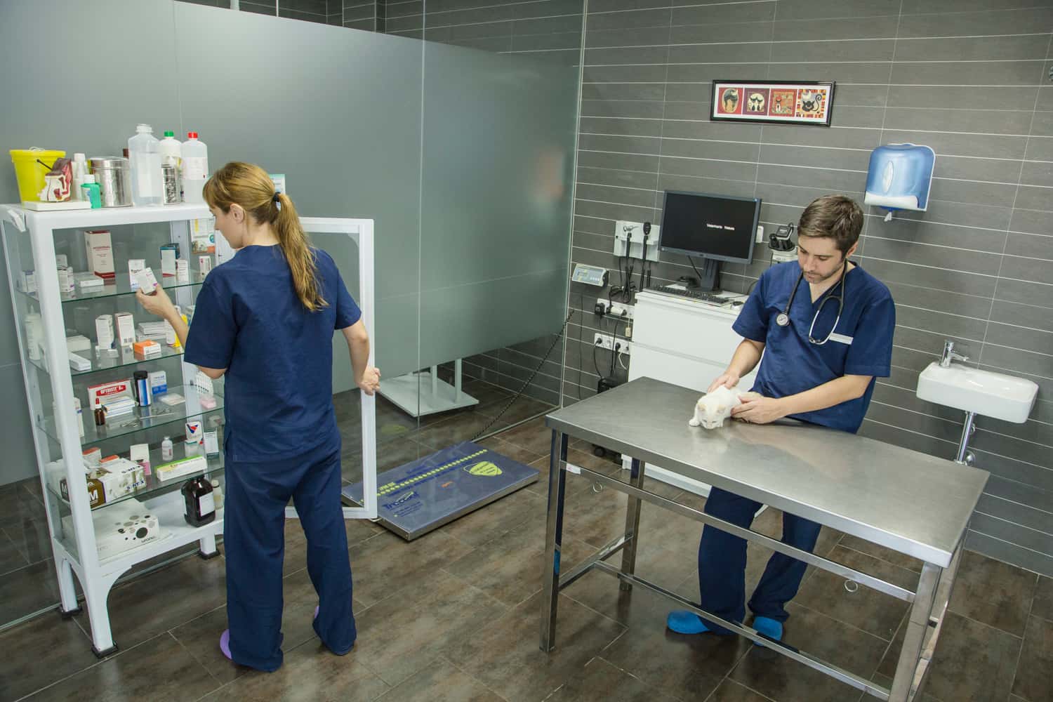 CLINICA VETERINARIA NATURA-SAN JAVIER