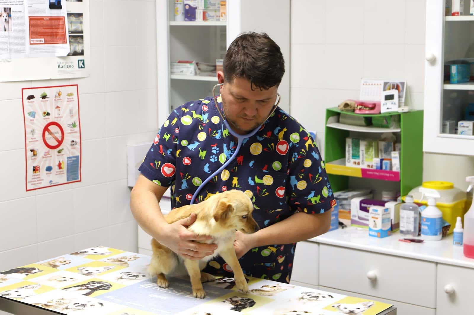 Centro Veterinario Rico
