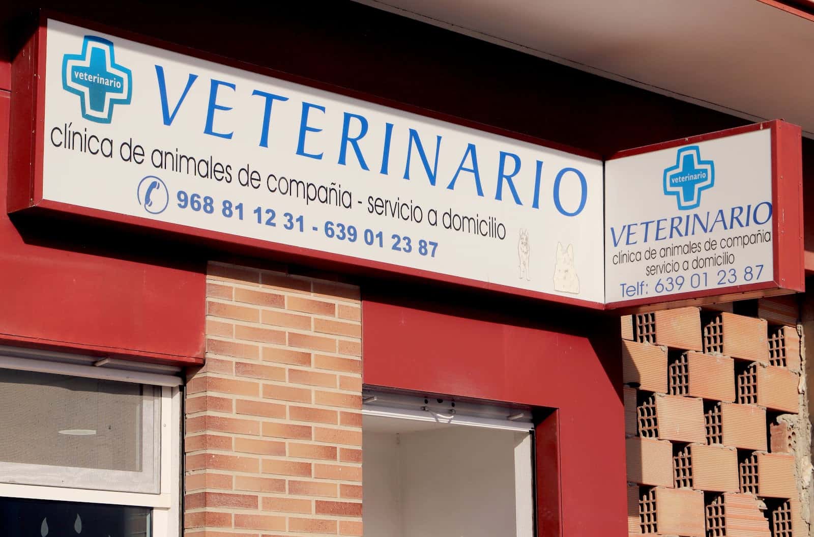 centro veterinario rico veterinario centro barrio murcia en murcia en murcia principalImage ADOPTA Sitios Pet Friendly