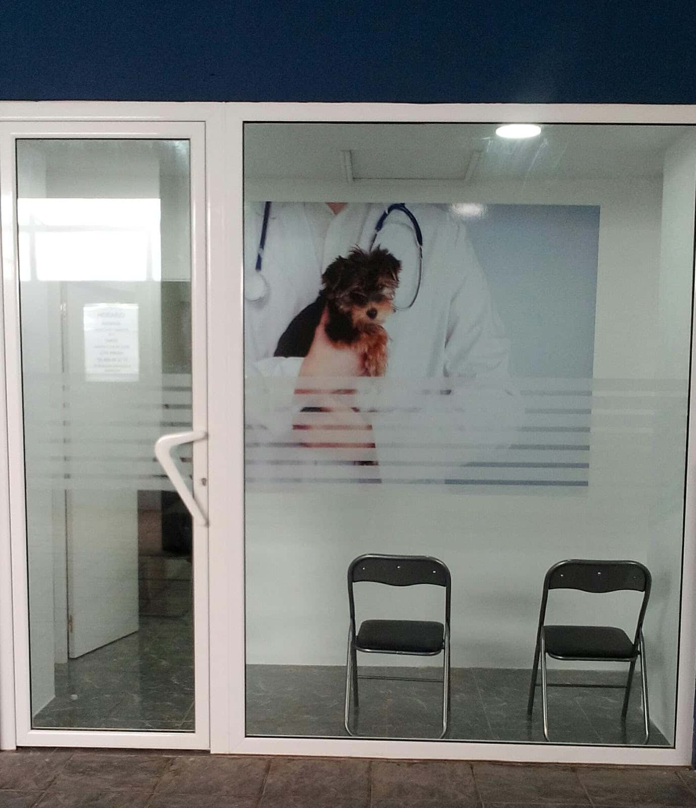 veterinaria maria isabel manrique veterinario centro en berja en almeria principalImage ADOPTA Sitios Pet Friendly