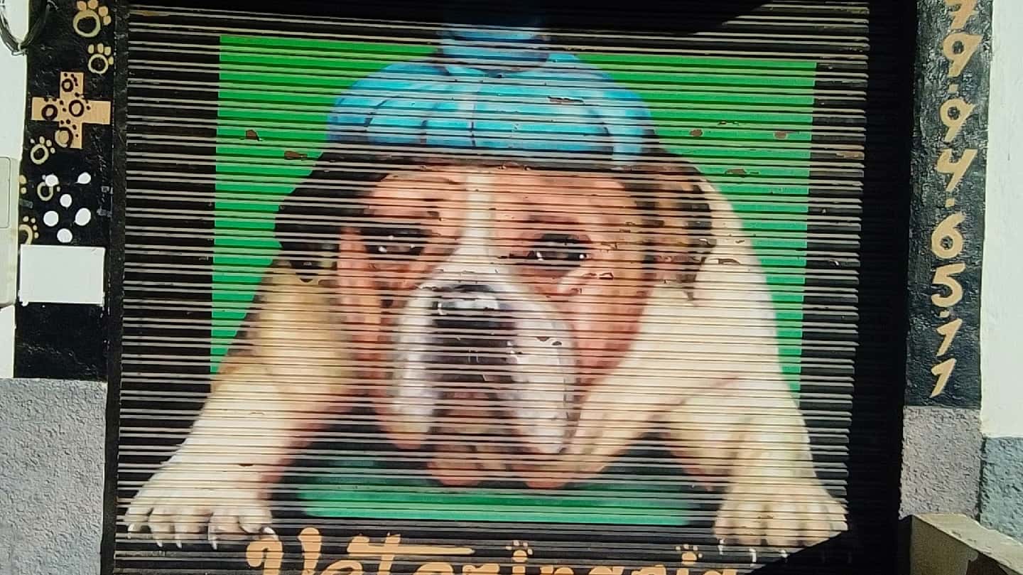 Consulta veterinaria