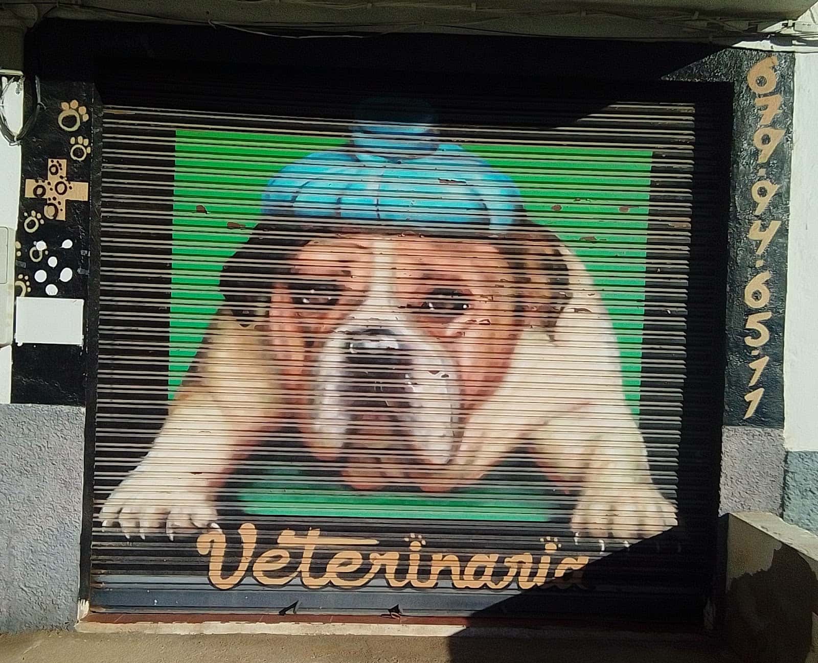 Consulta veterinaria