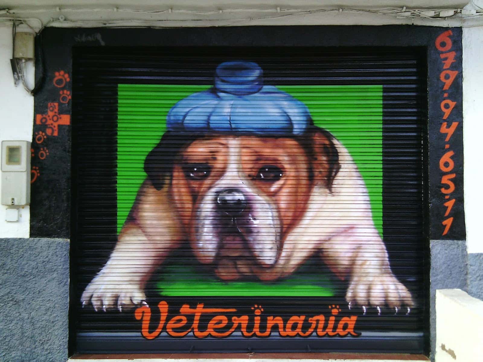 consulta veterinaria veterinario centro en ugijar en granada principalImage ADOPTA Sitios Pet Friendly