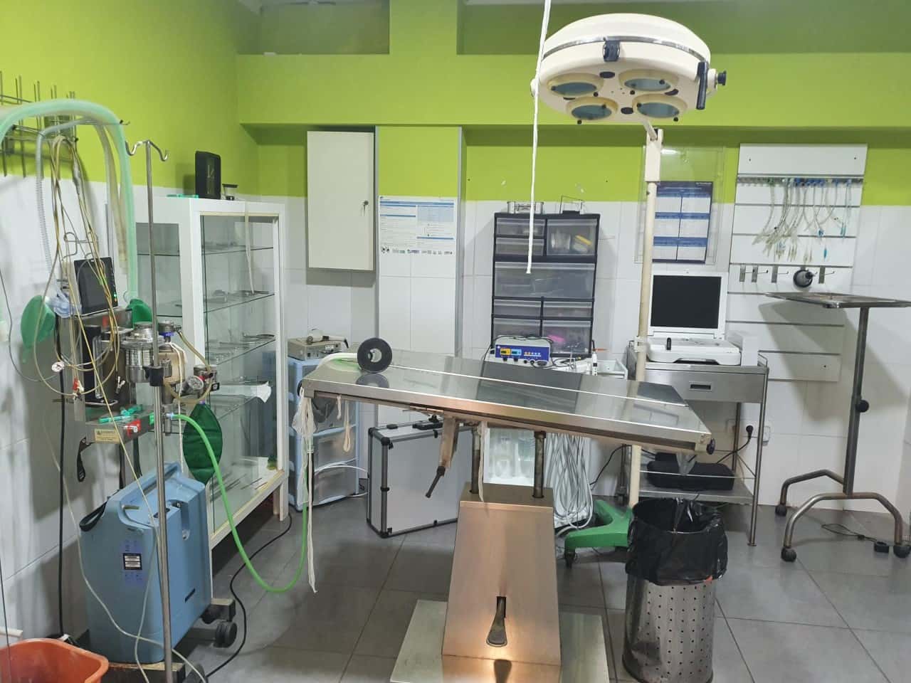 centro veterinario veravet veterinario centro en vera en almeria principalImage ADOPTA Sitios Pet Friendly