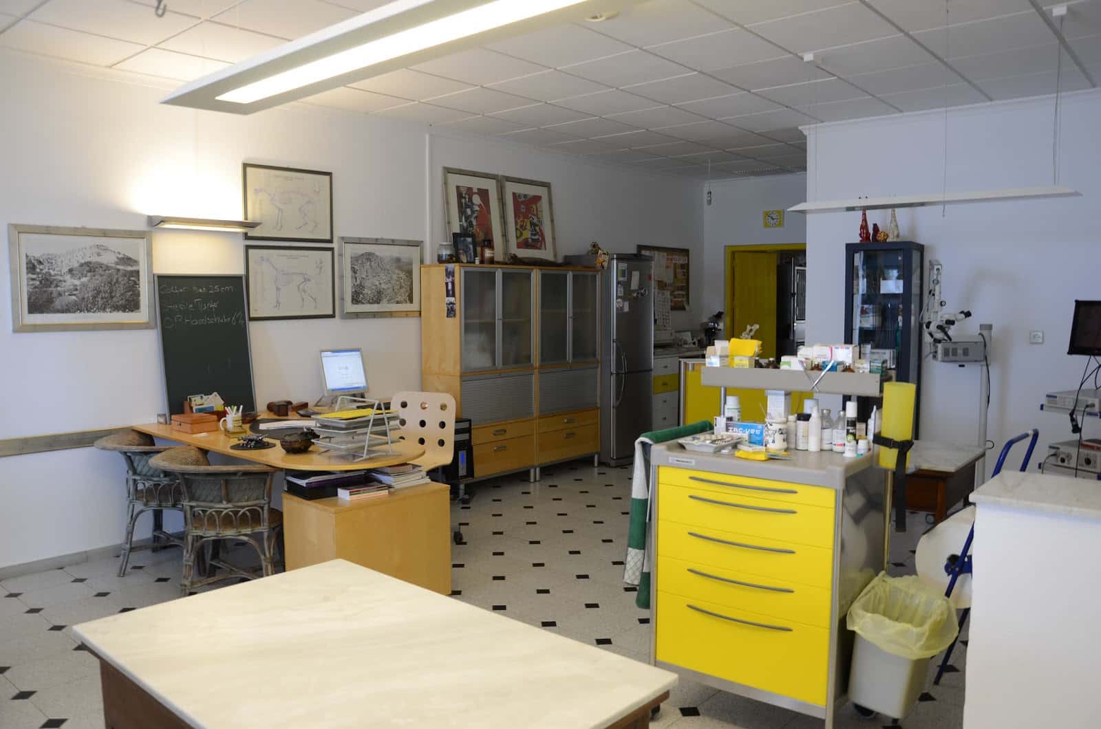 clinica veterinaria mojacar veterinario clinica en mojacar en almeria principalImage ADOPTA Sitios Pet Friendly