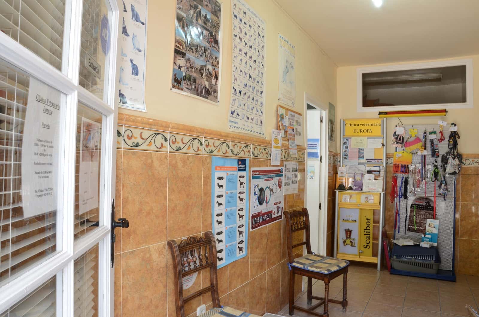 clinica veterinaria europa veterinario clinica en mojacar en almeria principalImage ADOPTA Sitios Pet Friendly